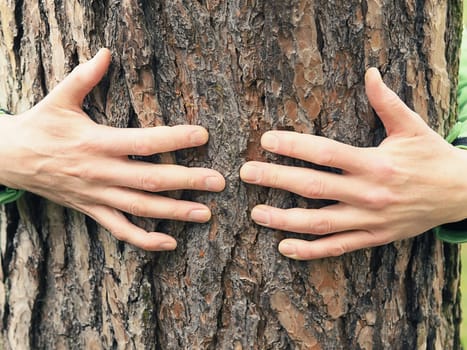 Young man hugs a big tree, environmental or health care concept