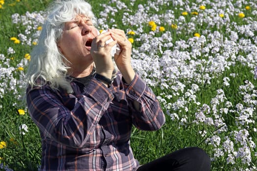 A woman has hay fever in a meadow. A woman in a meadow has to sneeze through the pollen and has a runny nose
