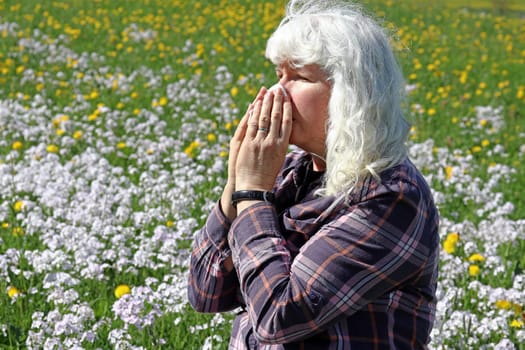 A woman has hay fever in a meadow. A woman in a meadow has to sneeze through the pollen and has a runny nose