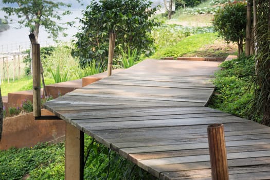 Wooden walkway with tropical garden, stock photo