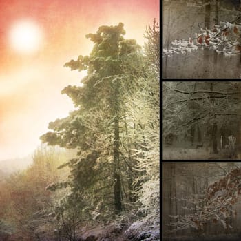 Aged winter photo collage