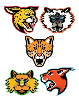 Sports mascot icon set of heads of wild and domestic cats like the serval, Himalayan cat, ocelot, Selkirk Rex cat and the caracal cat  viewed from side  on isolated background in retro style.