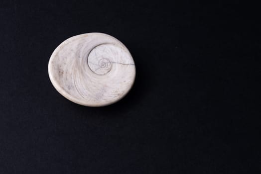 A shell fossil found in a rock near italian beach