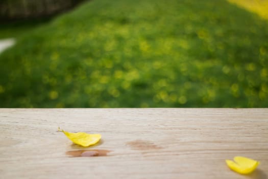 Petals yellow flower on wooden table in summer, stock photo