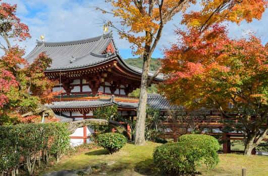 Beautiful architecture of Phoenix Hall with autumn color in Byodo-in temple which is a Buddhist temple in Uji city, Kyoto Prefecture, Japan