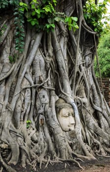 The famous of Ancient sandstone Buddha head sculpture within the tree roots at Wat Mahathat in Ayutthaya,Thailand