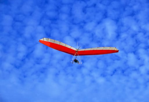 Glider in Torrey Pines, California