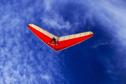 Glider in Torrey Pines, California