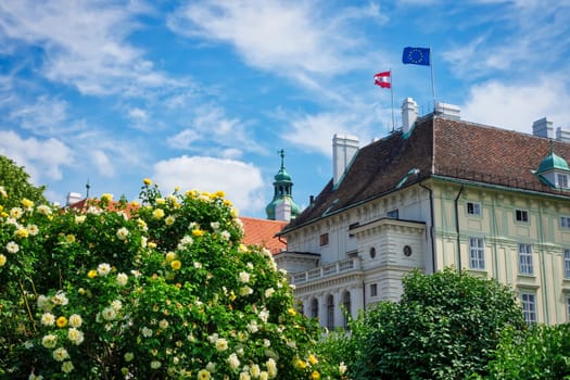 Presidential Chancellery of Austria,Office of the Federal President in the Leopoldine Wing of the Hofburg