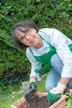 woman potting geranium flowers, outdoors