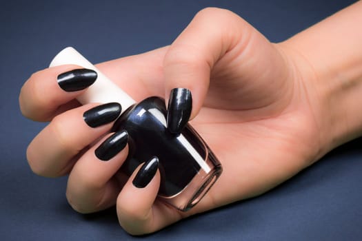 Female hand with dark nails is holding dark nail polish on blue background.