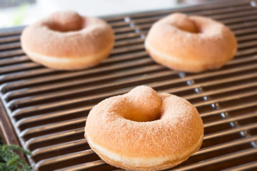 Fresh baked donut on shelf, stock photo
