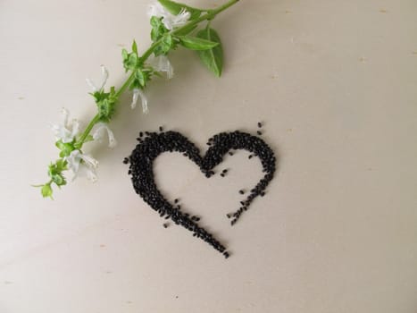 Superfood Basil Seeds