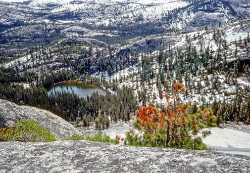 Yosemite National Park, California
