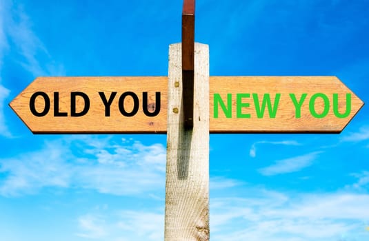 Blank wooden signpost with two arrows over clear blue sky with copy space, just add your text here