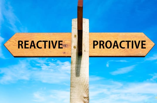 Blank wooden signpost with two arrows over clear blue sky with copy space, just add your text here