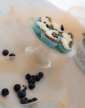 Summer cupcakes