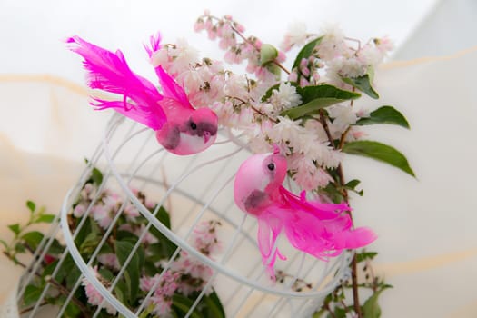 Bird cage romance