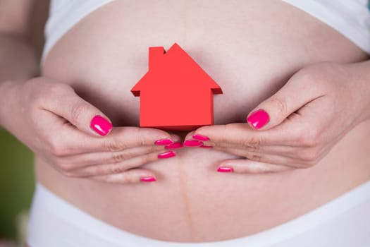 Pregnant house concept, of new home and family