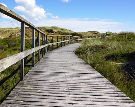 Hiking trail in the dunes by the sea