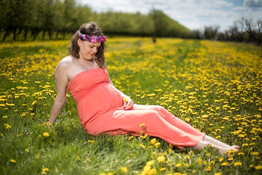 Beautiful pregnant woman in the meadow