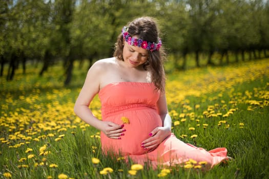 Meadow, Young beautiful pregnant woman