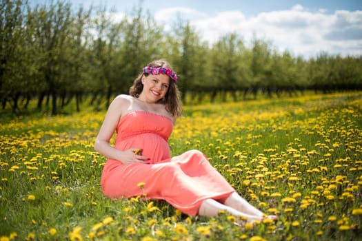 Meadow, Young beautiful pregnant woman