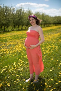 Beautiful pregnant woman in the meadow
