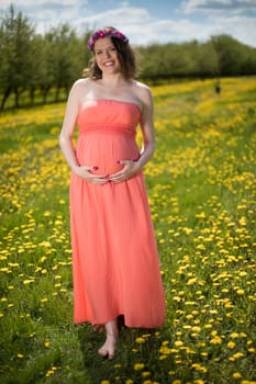Meadow, Young beautiful pregnant woman