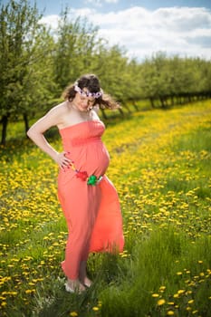 Meadow, Young beautiful pregnant woman