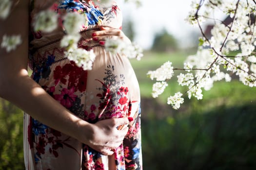 Spring, Young beautiful pregnant woman in the Orchard