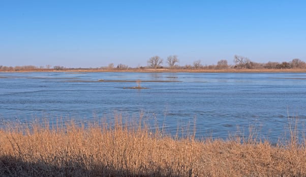 The Platte River in Early Morning during Crane Migration near Kearney, Nebraska