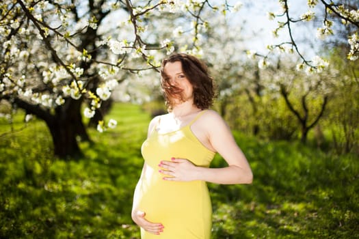 Spring, Young beautiful pregnant woman in the Orchard