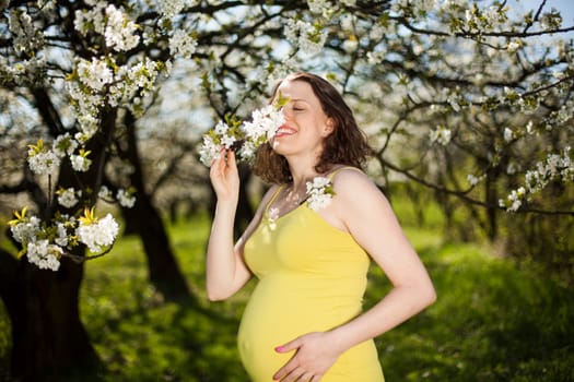 Beautiful pregnant woman relaxing outside in the Orchard