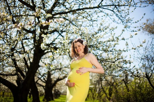 Spring, Young beautiful pregnant woman in the Orchard
