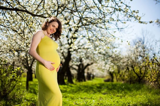 Spring, Young beautiful pregnant woman in the Orchard