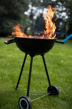 Concept of summer grilling, barbecue, fire background