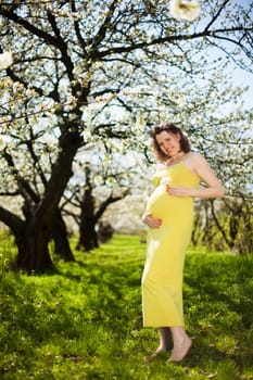 Spring, Young beautiful pregnant woman in the Orchard
