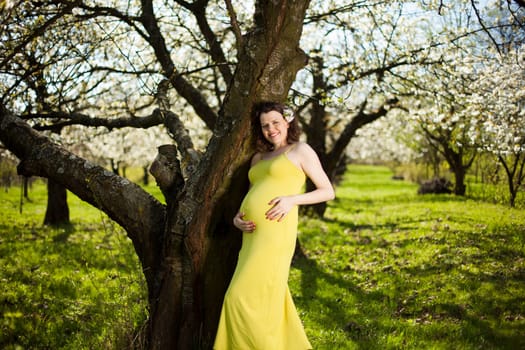 Spring, Young beautiful pregnant woman in the Orchard
