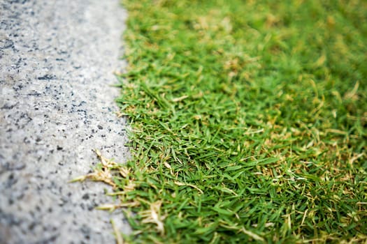 close up separated flat stone and grass.