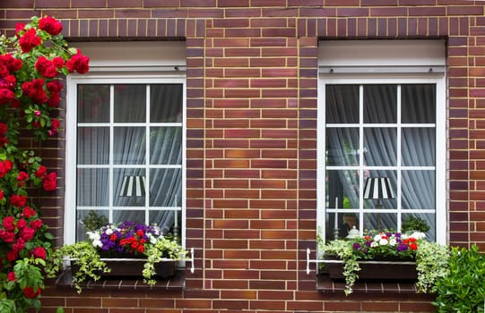 brick wall with windows and flower boxes with flowering plants, Geldern, Germany