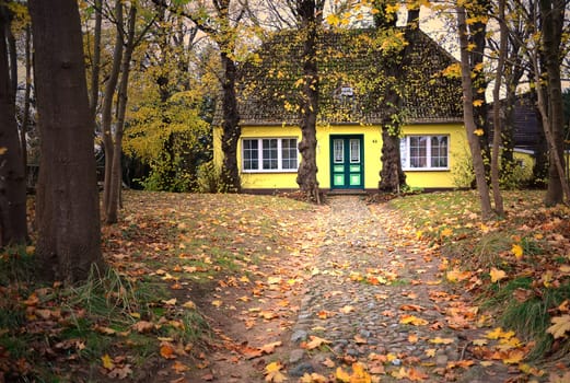 Cottage in autumn