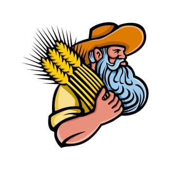 Mascot icon illustration of head of a organic grain farmer with beard holding a bunch of dried wheat looking to side on isolated background in retro style.