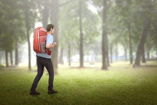 Rear view of asian traveler going explore the green forest