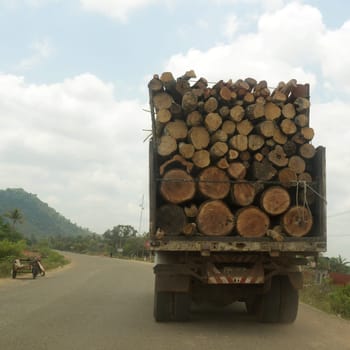 a transport truck with wood near the City of Siem Riep in the west of Cambodia.   Cambodia, Siem Reap, April 2014