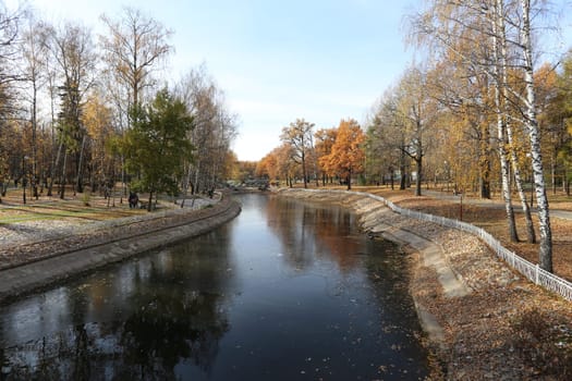 Very beautiful autumn landscape in the forest