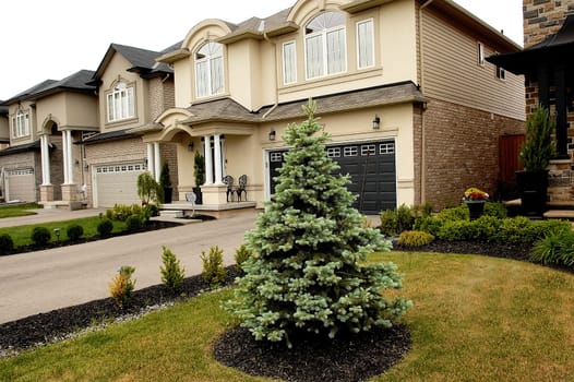 A new big house in a subdivision in Hamilton, Canada with a nice.tree on the front lawn.