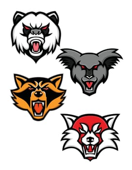 Mascot icon illustration set of heads of angry giant panda or panda bear, koala, racoon or raccoon and the red panda or red bear-cat  viewed from front  on isolated background in retro style.