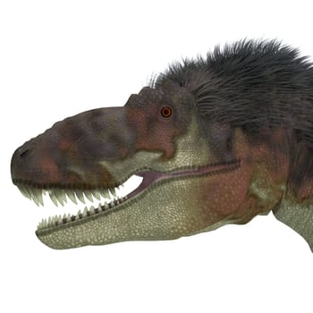 Daspletosaurus was a carnivorous theropod dinosaur that lived during the Cretaceous Period of North America.