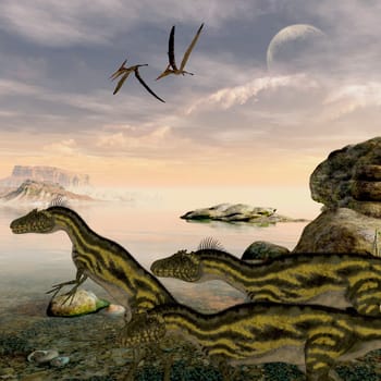Pteranodon flying reptiles watch Deltadromeus dinosaurs searching the shoreline for things to eat.